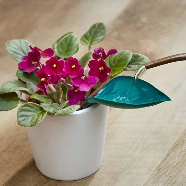 Mess-Free Watering Tool